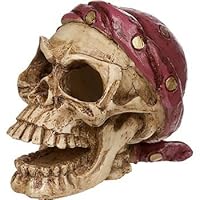 Petco Pirate Skull Aquatic Decor
