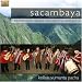 Search : From the Heart of South America