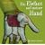 Ein Elefant auf meiner Hand