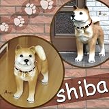 動き出しそうな柴犬　タイプB（509）