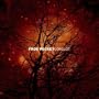 Follow Erol Raet