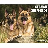 Just German Shepherds 2010 Calendar