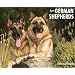Just German Shepherds 2010 Calendar