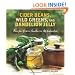 Cider Beans, Wild Greens, and Dandelion Jelly: Recipes from Southern Appalachia