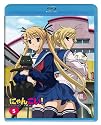 にゃんこい! 5 (Blu-ray 初回限定生産)