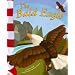 The Bald Eagle (American Symbols)