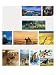 The Briggs Family Emigrate: Across the Great Bight Art Giclee Poster Print by Ferdina...