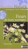 Fleurs de hautes montagne