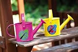 2 Assorted: Ladybug Collection Watering Cans