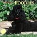 Toy and Miniature Poodles 2005 Wall Calendar