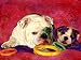 Bulldog Art Print on Canvas