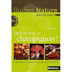 Quel est donc ce champignon ?
