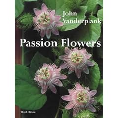 Passion Flowers