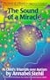 Sound of a Miracle: A Child's Triumph Over Autism