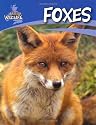 Foxes (British Wildlife)