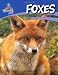 Foxes (British Wildlife)