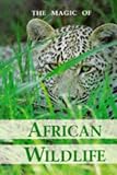Magic of African Wildlife Pb