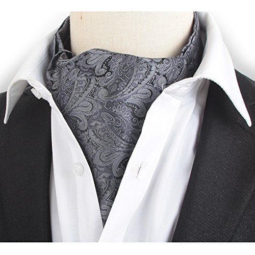 Stylefad Men's Mirofiber Cravat Ascot Self Tie