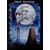 Tim Burton's Corpse Bride (Lenticular Cover + Illustrated Storybook)