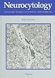 Neurocytology: Fine Structure of Neurons, Nerve Processes, and Neuroglial Cells