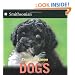 Dogs