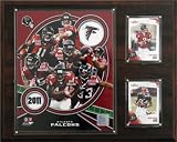 NFL Atlanta Falcons 2011 Team Plaque