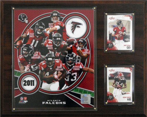 NFL Atlanta Falcons 2011 Team Plaque