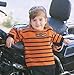 Paintbox Knits: More Than 30 Designs for Kids