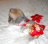 Joybies Large Red Aloha Piddle Skirt(TM) for Female Dog Measuring 17