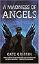 A Madness of Angels