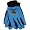 UCLA Bruins