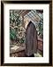 Charles Robert Darwin People Framed Art Poster Print by John Collier, 27x33