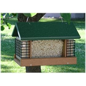 Looker Poly 2 Suet and Seed Bird Feeder by
