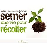 Détails sur le produit