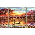 Schipper 609260627 - Peinture par num�ros - la magie d'un continent Afrique