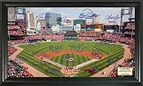 MLB St. Louis Cardinals Signature Field Framed Art