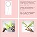 Sequined Hanging Butterfly 3D Wall Décor Size: Small, Color: Light