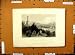 1837 View Tomb Kosciusko Sailing Ships People Old Print