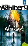 Glasklart (av Karin Wahlberg) [Imported] [Paperback] (Swedish) (Claes Claesson, del 8)