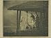 Photo Jigsaw 16x12 (40x30cm) Pandikkad Kerala, South India. by National Trust Photo Library