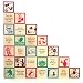 Chinese Character Blocks by Uncle Goose