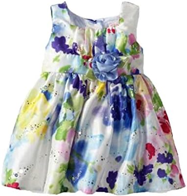 Youngland Baby Little Girls' Floral Hologram Dress 2T Multi-Colored