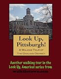 A Walking Tour of Pittsburgh-Oakland, Pennsylvania (Look Up, America!)