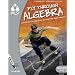 FLY Through™ Algebra