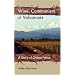 Wine, Communism & Volcanoes: A Story of Chilean Wine