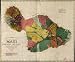 1885 LARGE CROWN MAP HAWAII MAUI KAMEHAMEHA LANDS