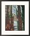 Hanover Ivy on Dartmouth College Building, New Hampshire, USA Framed Art Poster Print by John & Lisa Merrill, 18x22