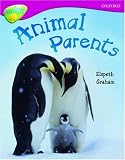 Oxford Reading Tree: Stage 10A: TreeTops More Non-fiction: Pack of 6 (6 Books, 1 of Each Title)