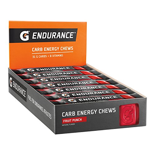 Gatorade Endurance Energy Chews Fruit Silica