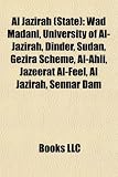 Al Jazirah (State): Wad Madani, Universi
